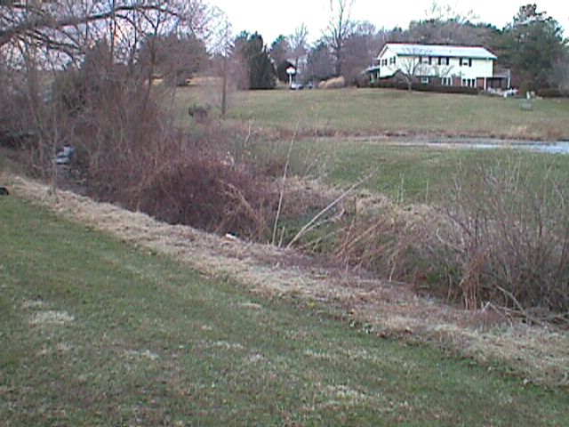 Field photo showing stream conditions at site LIBE-111-R-2000-02_07