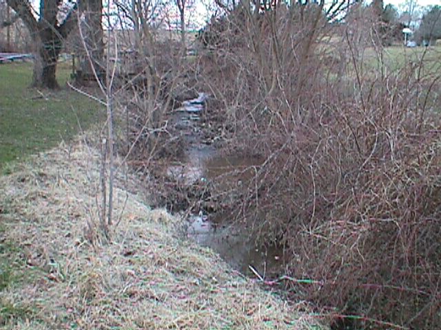 Field photo showing stream conditions at site LIBE-111-R-2000-02_08