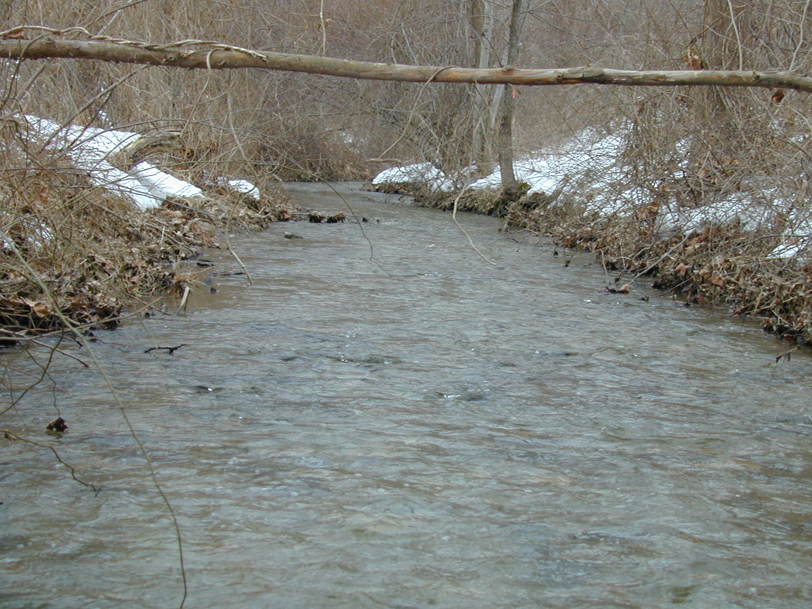 Field photo showing stream conditions at site LIBE-111-R-2003-636