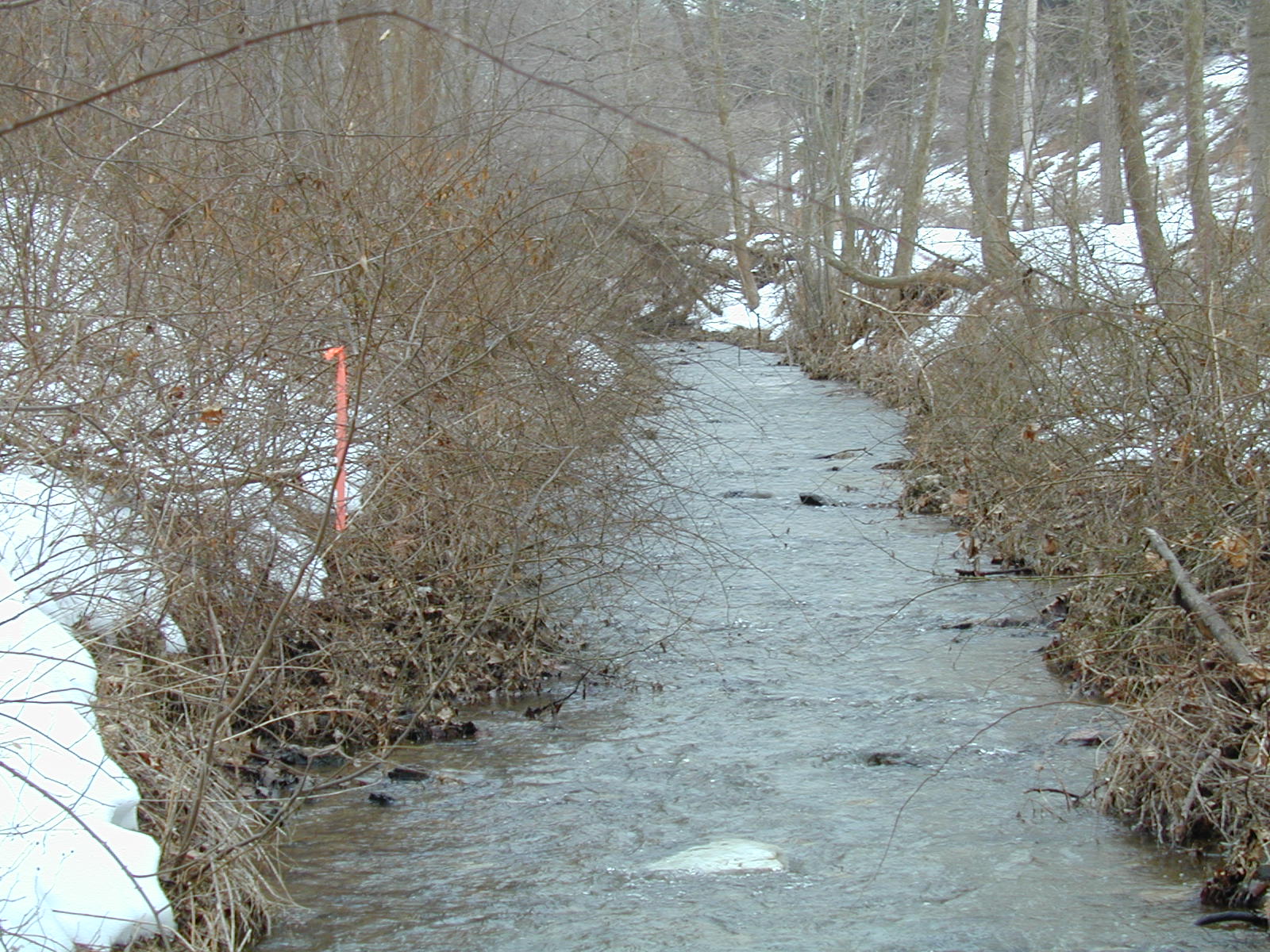 Field photo showing stream conditions at site LIBE-111-R-2003-638
