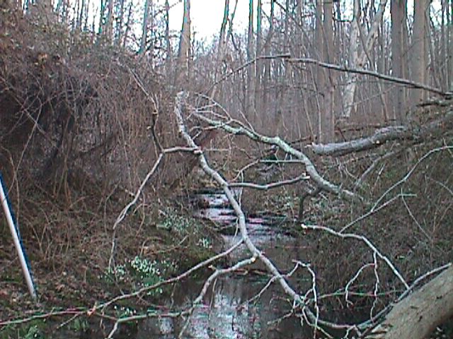 Field photo showing stream conditions at site LIBE-113-R-2000-01_12
