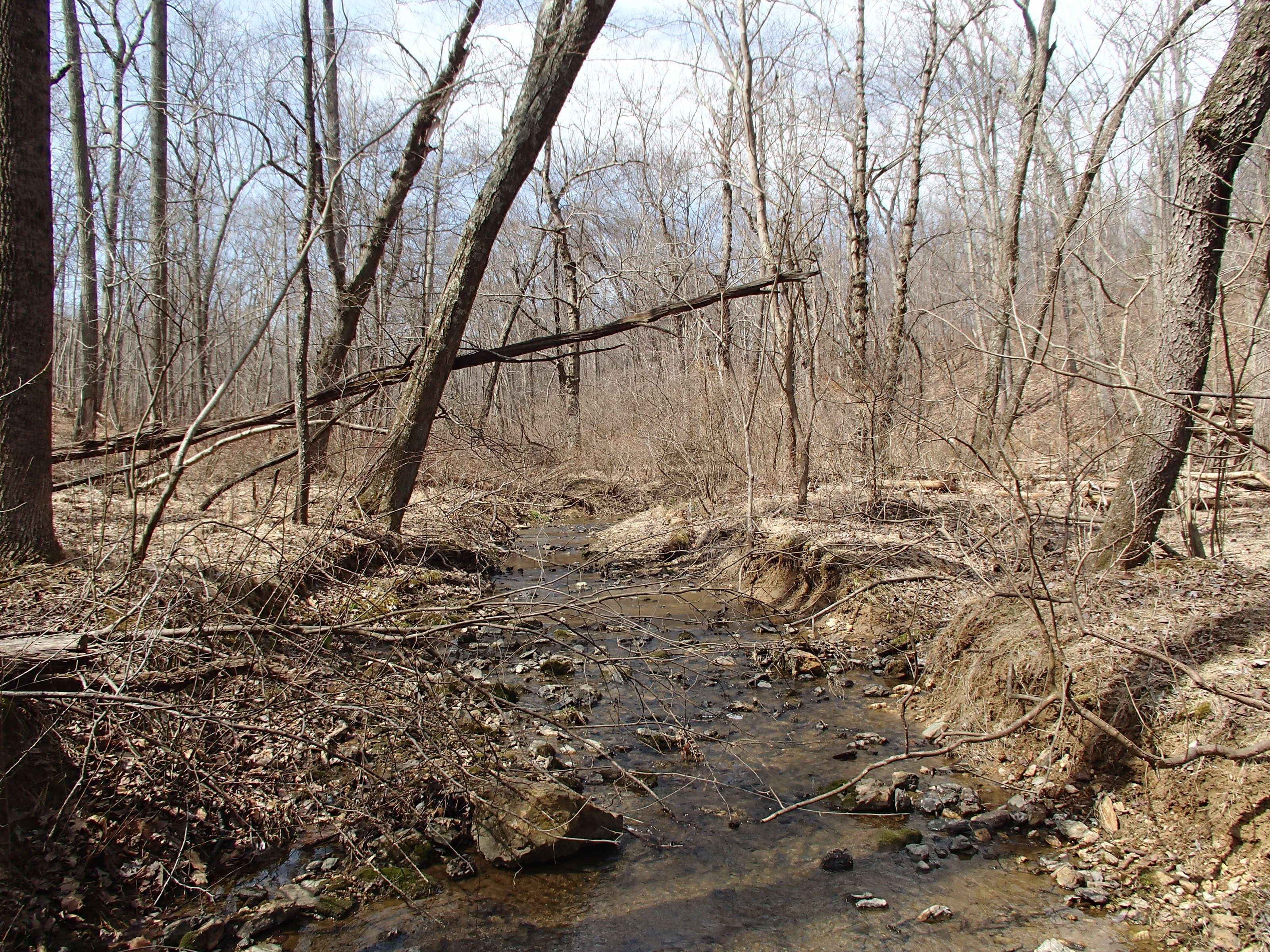Field photo showing stream conditions at site LIBE-113-R-2015_Midpoint-looking-upstream