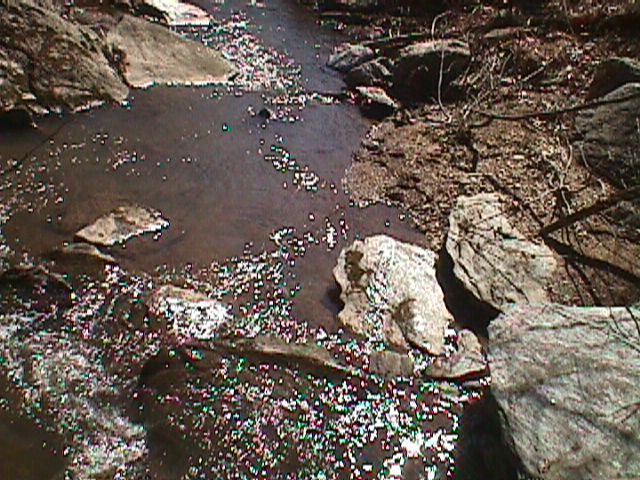 Field photo showing stream conditions at site LIBE-115-R-2000-03_04