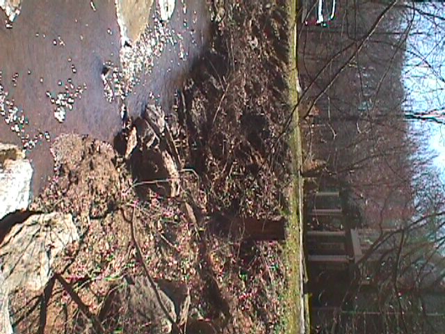 Field photo showing stream conditions at site LIBE-115-R-2000-03_05
