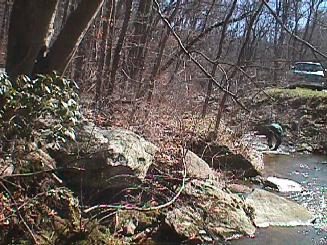 Field photo showing stream conditions at site LIBE-115-R-2000-03_06