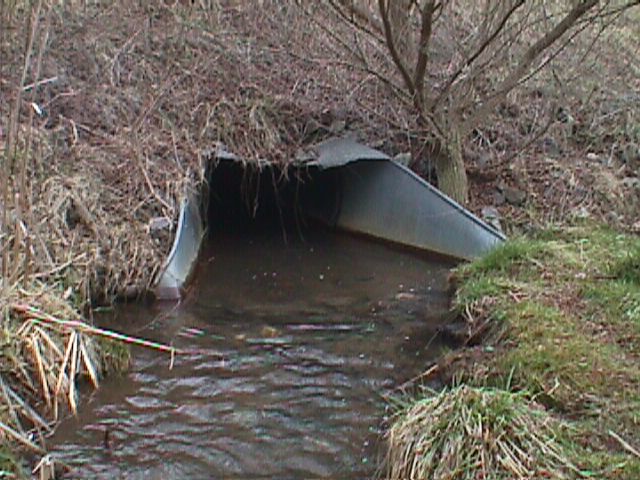 Field photo showing stream conditions at site LIBE-117-R-2000-1_10
