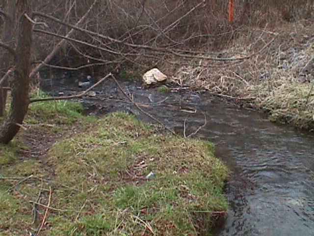 Field photo showing stream conditions at site LIBE-117-R-2000-1_9