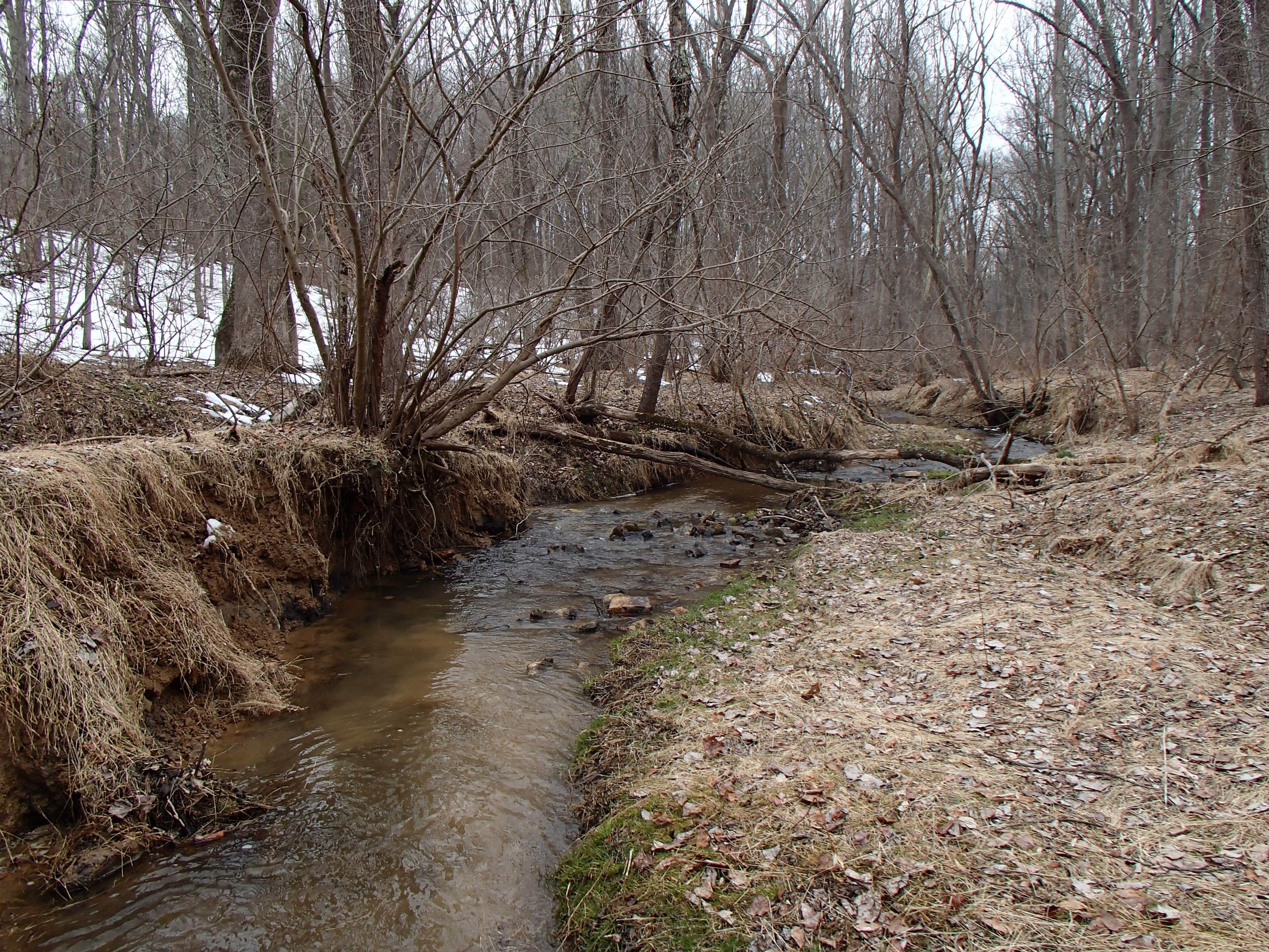 Field photo showing stream conditions at site LIBE-117-R-2014-2