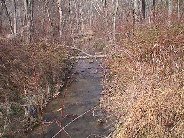 Field photo showing stream conditions at site LIBE-119-R-2000-02_04