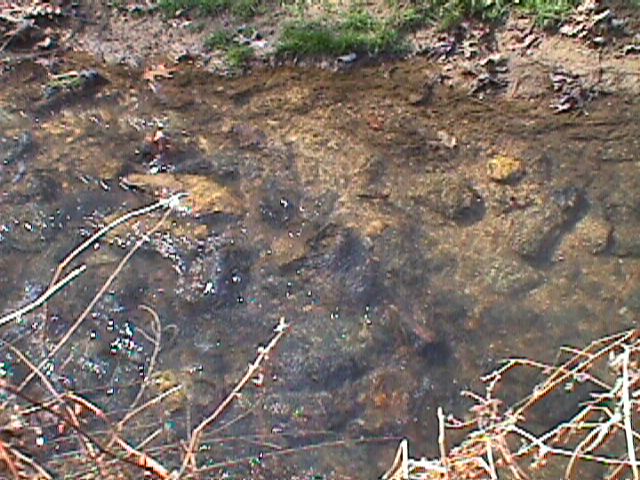 Field photo showing stream conditions at site LIBE-119-R-2000-02_06