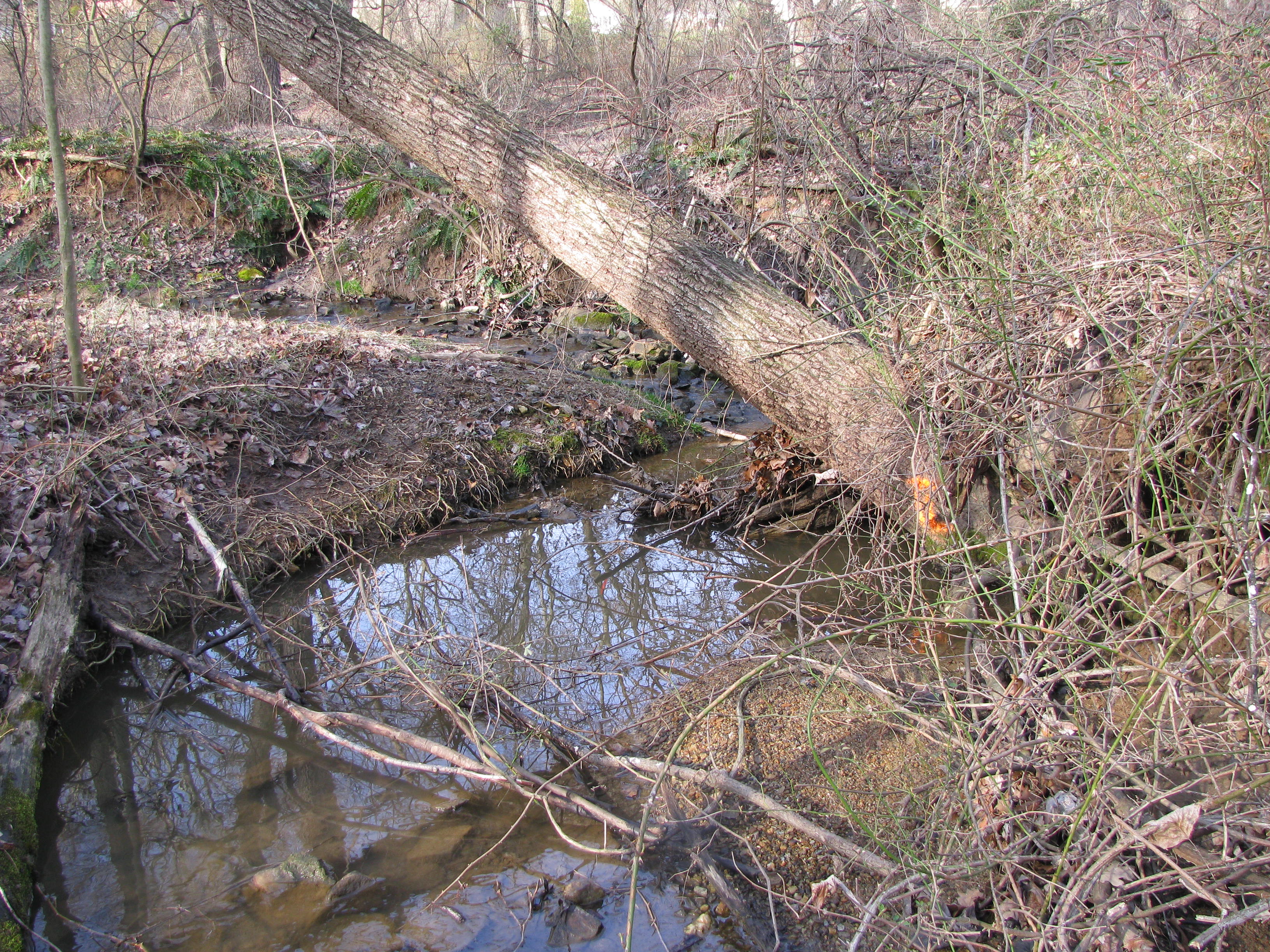 Field photo showing stream conditions at site LIBE-122-A-2012-1