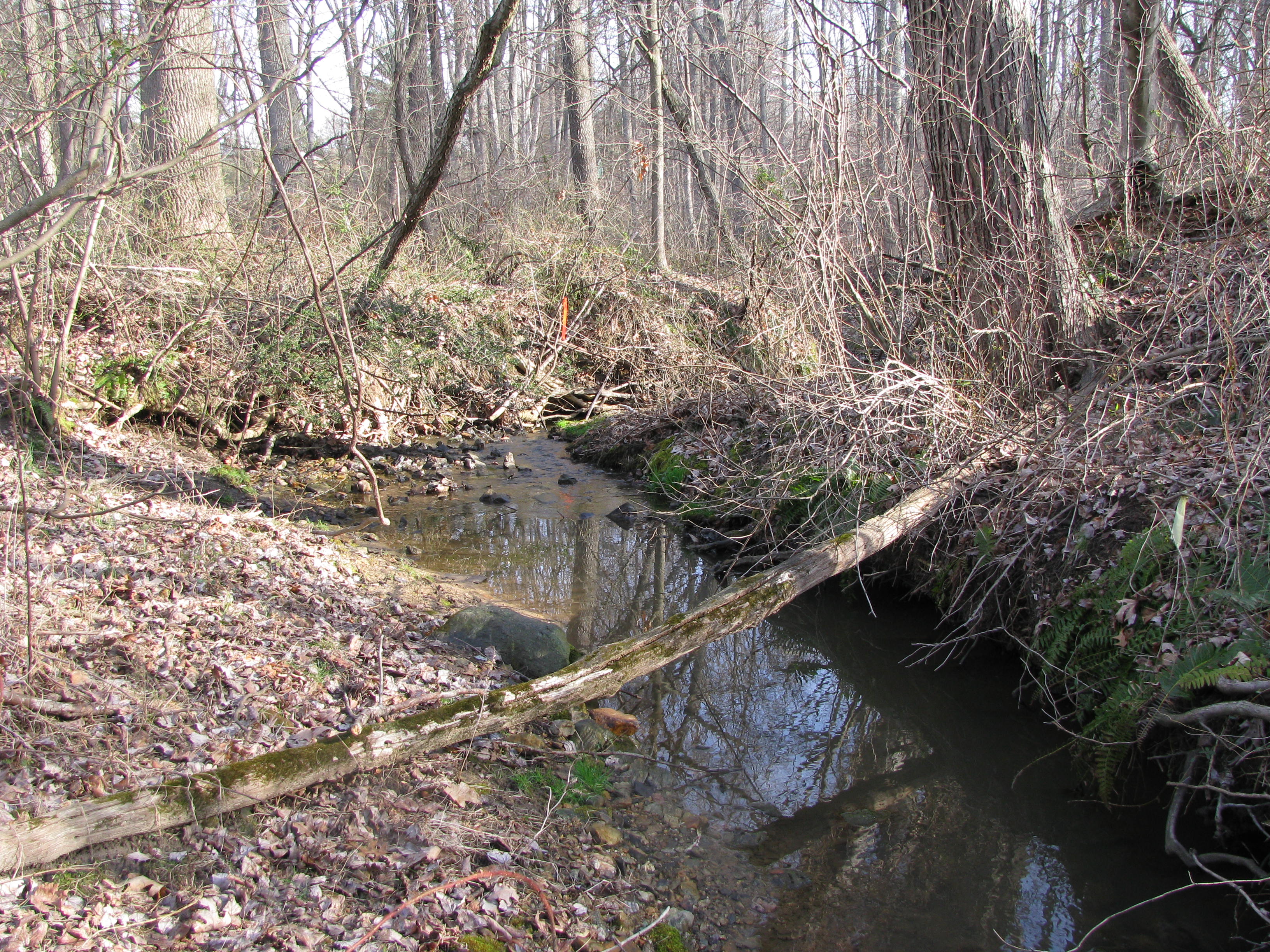 Field photo showing stream conditions at site LIBE-122-A-2012-2