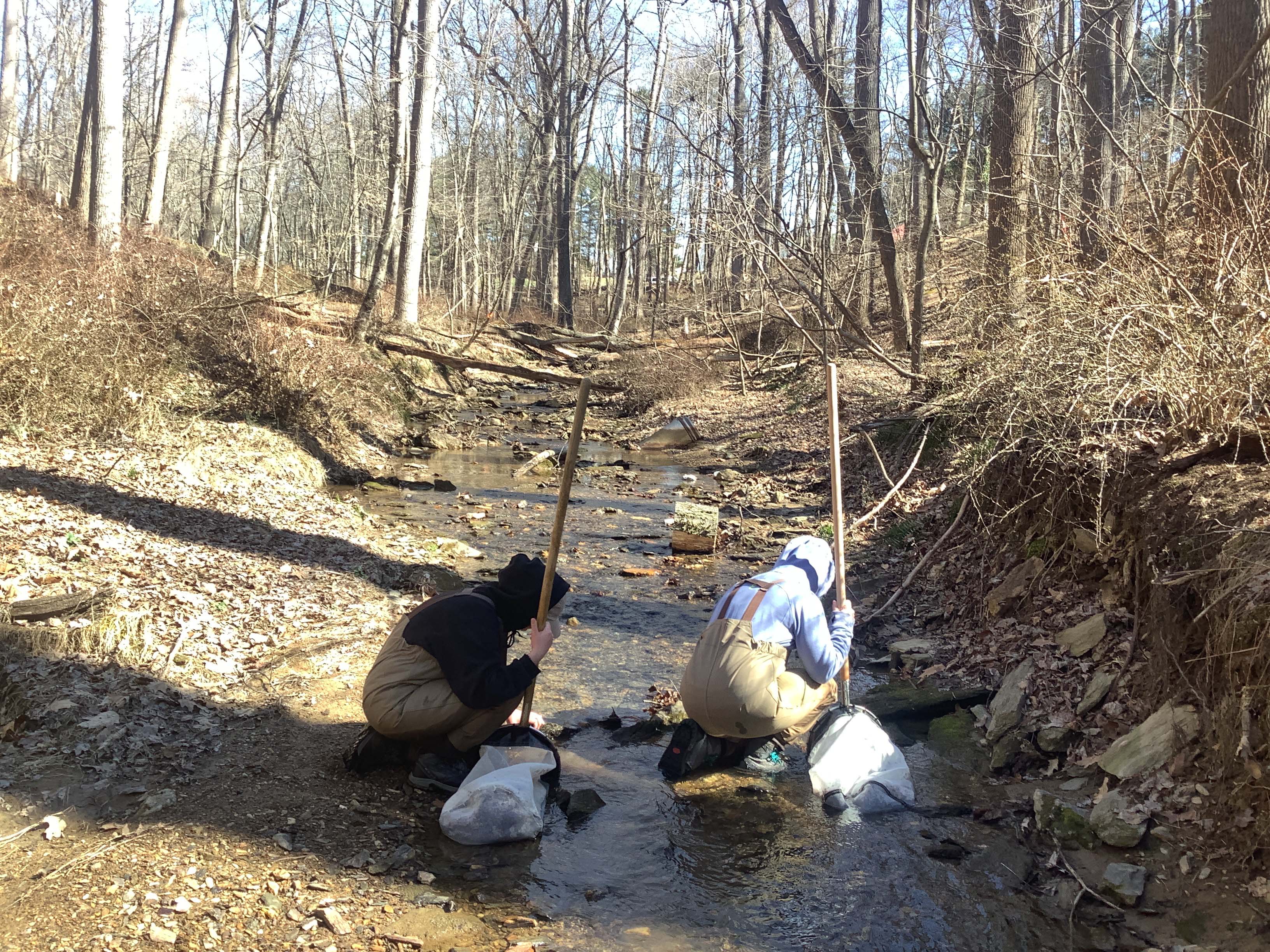 Field photo showing stream conditions at site LIBE-122-R-2023_Midpoint_facing_upstream