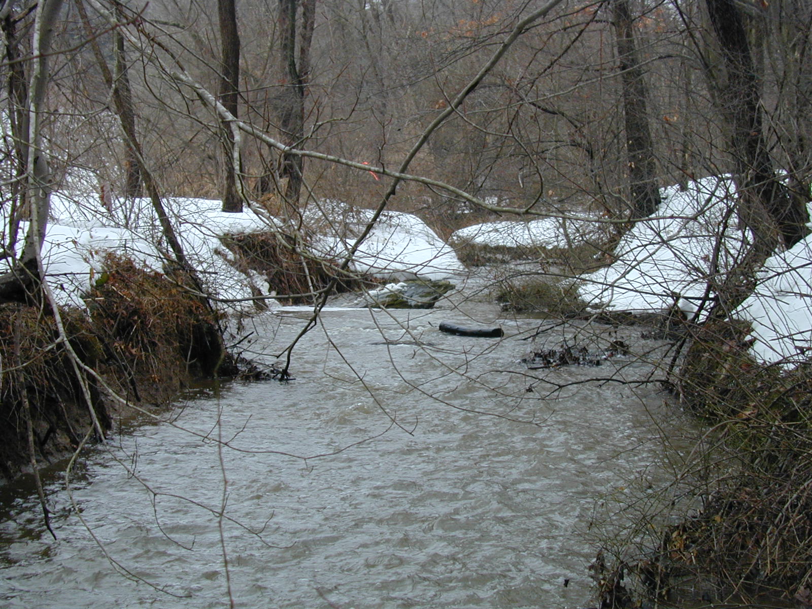 Field photo showing stream conditions at site LIBE-123-R-2003-647