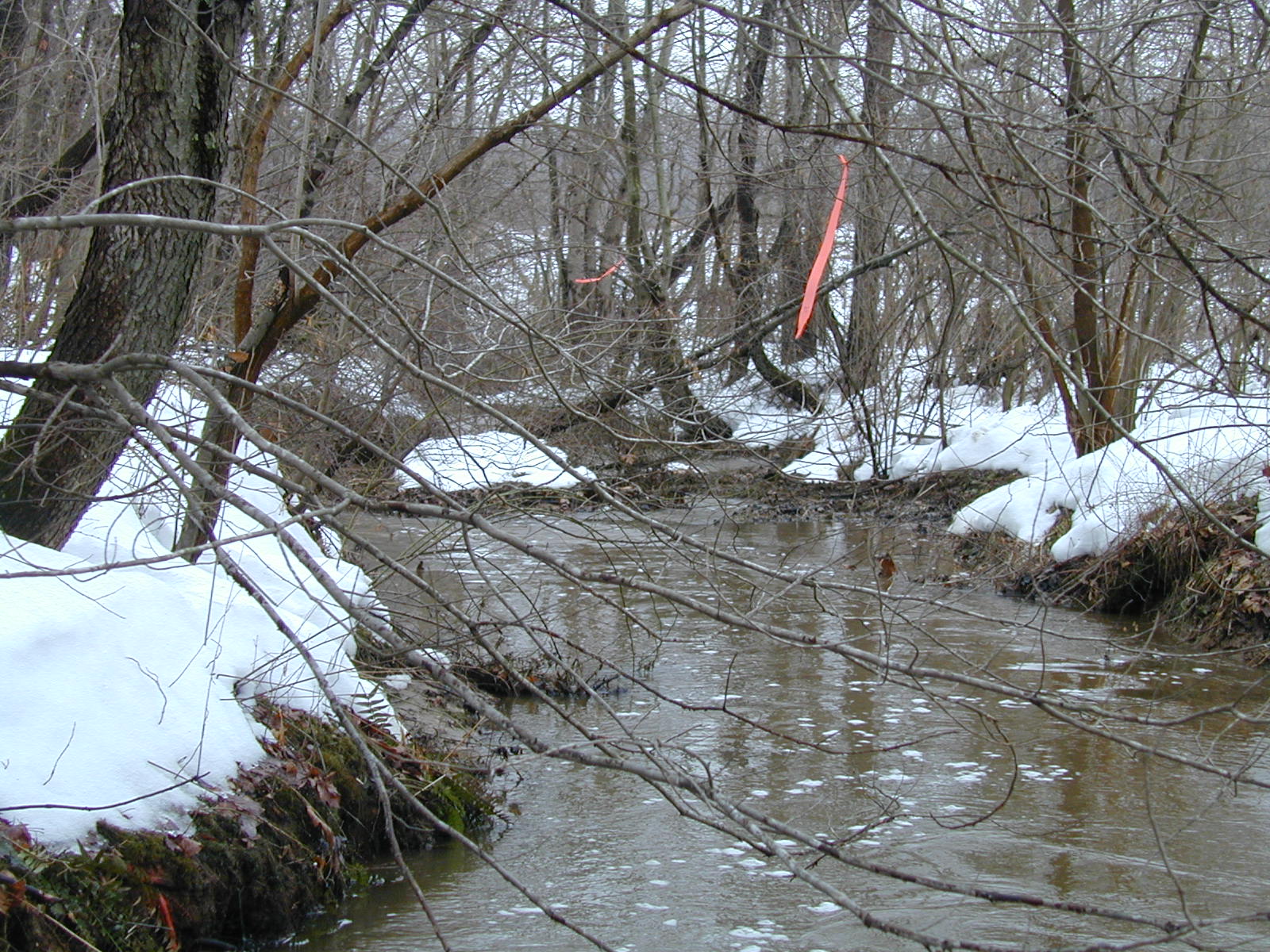 Field photo showing stream conditions at site LIBE-123-R-2003-648