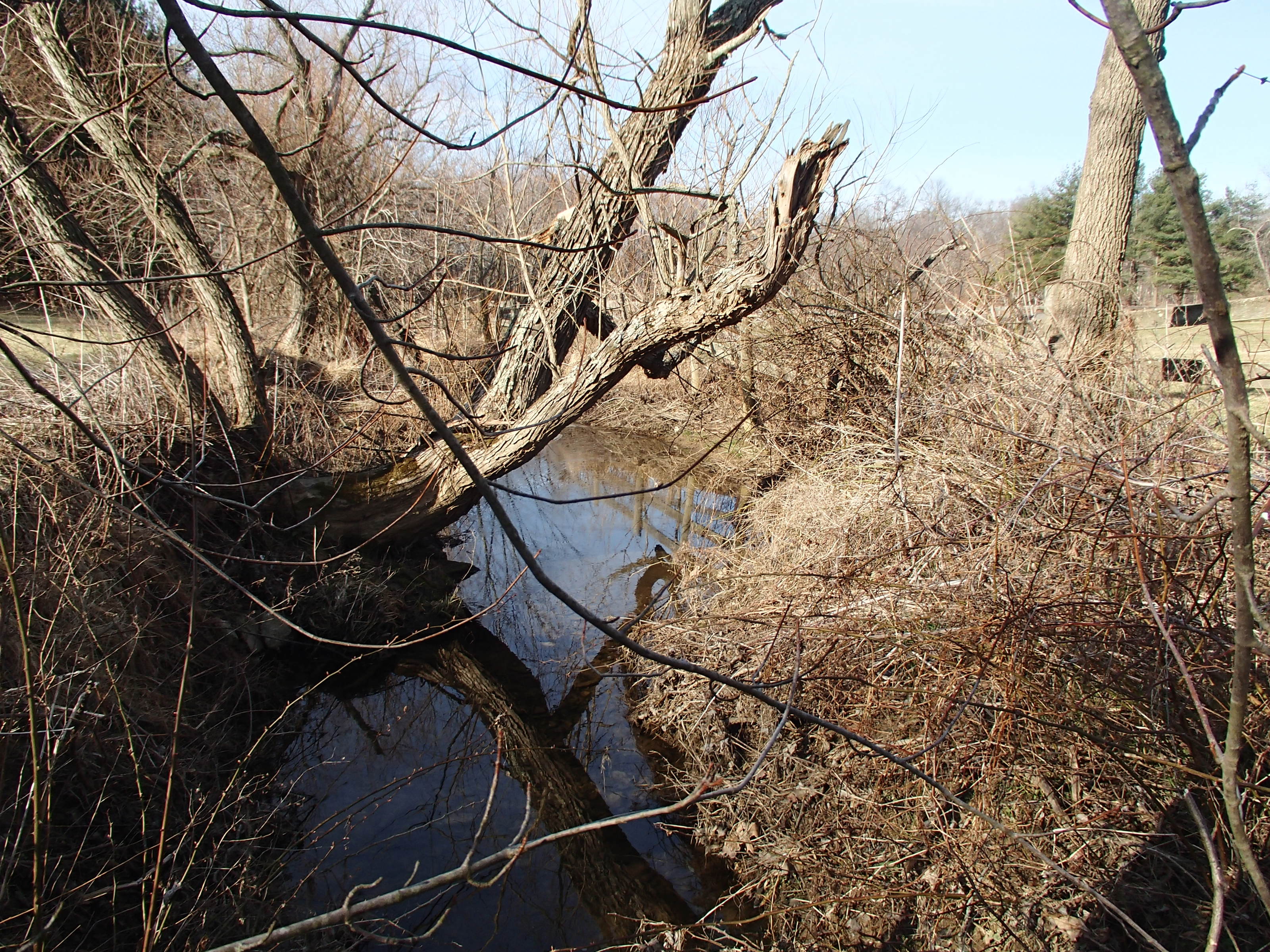 Field photo showing stream conditions at site LIBE-124-R-2015_Midpoint-looking-downstream