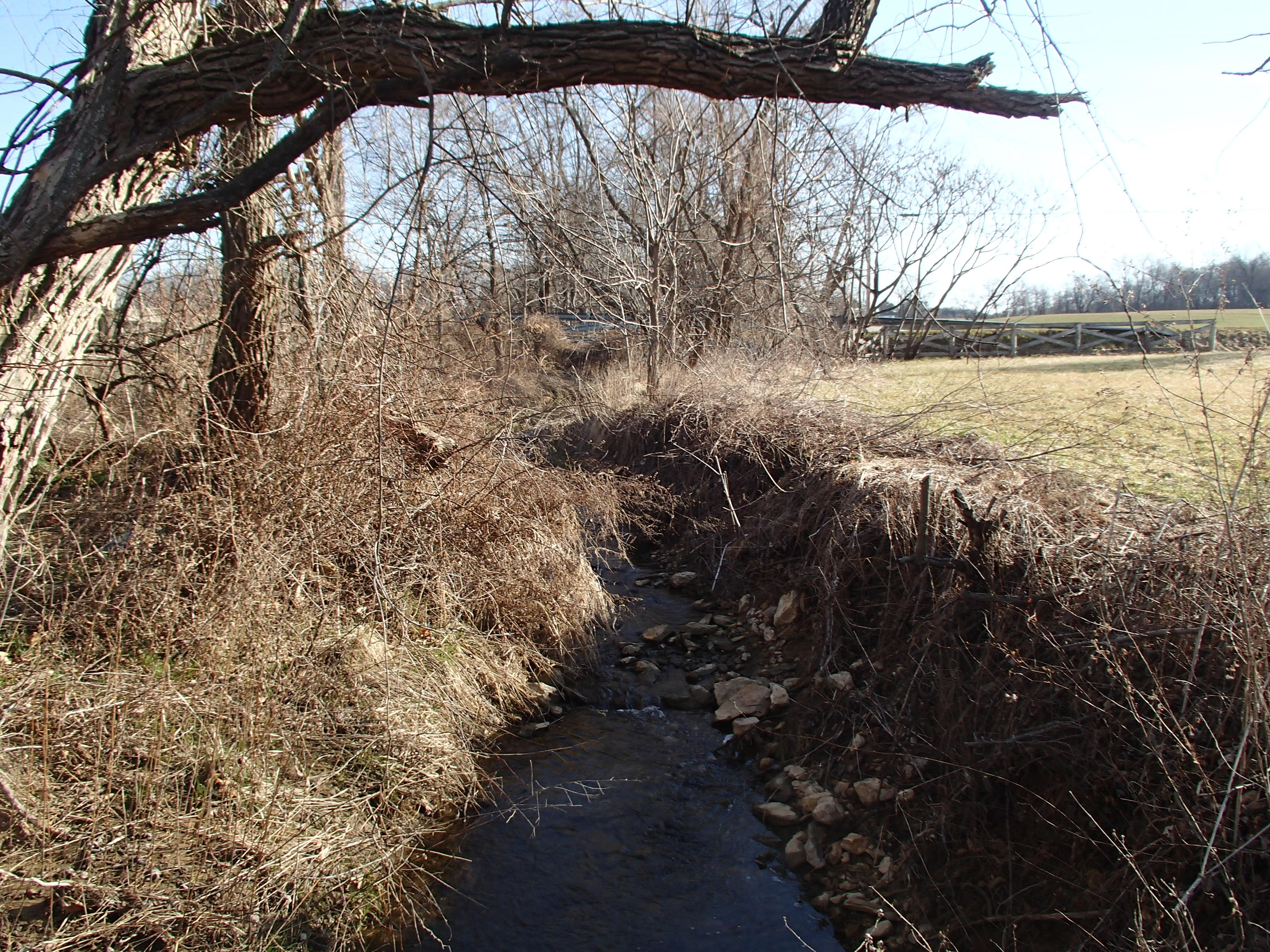 Field photo showing stream conditions at site LIBE-124-R-2015_Midpoint-looking-upstream