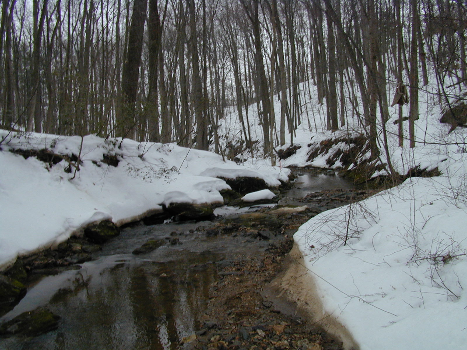 Field photo showing stream conditions at site LIBE-127-R-2003-632