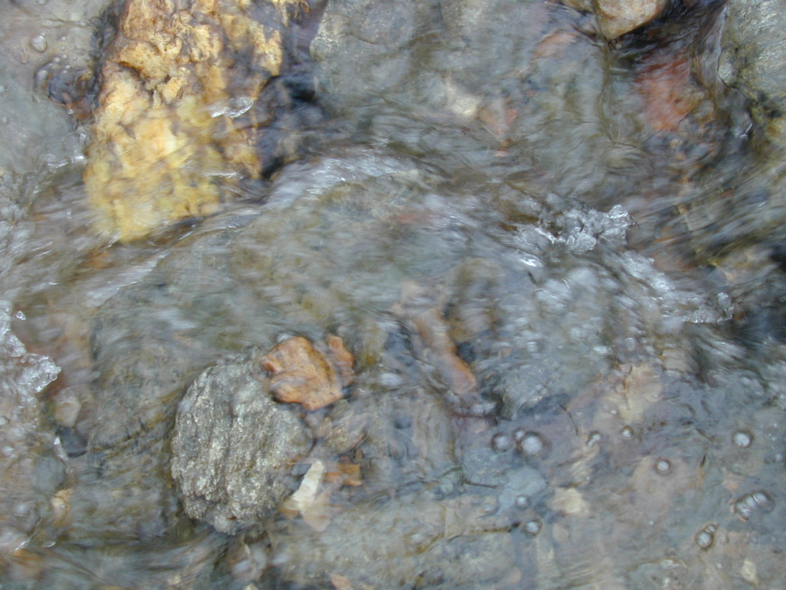 Field photo showing stream conditions at site LIBE-127-R-2003-633