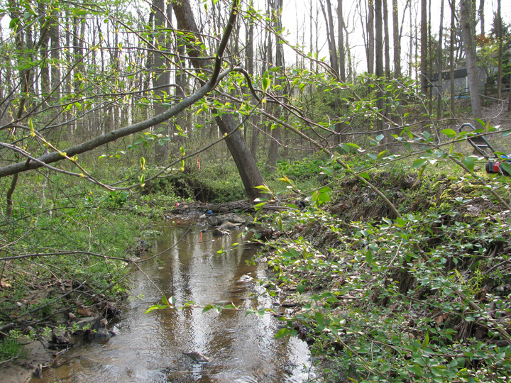 Field photo showing stream conditions at site LIBE-191-X-2011-1