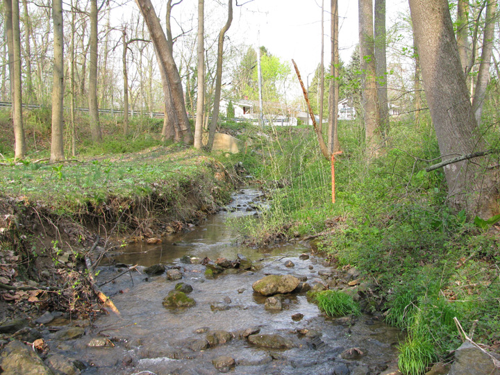 Field photo showing stream conditions at site LIBE-191-X-2011-2