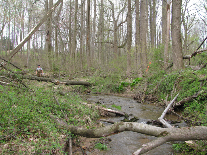 Field photo showing stream conditions at site LIBE-192-X-2011-1