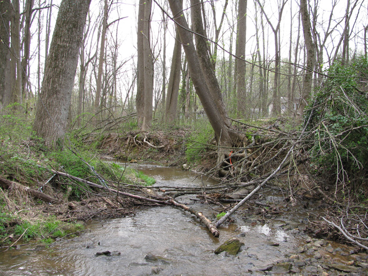 Field photo showing stream conditions at site LIBE-192-X-2011-2