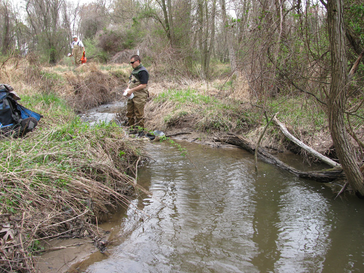 Field photo showing stream conditions at site LIBE-194-X-2011-1