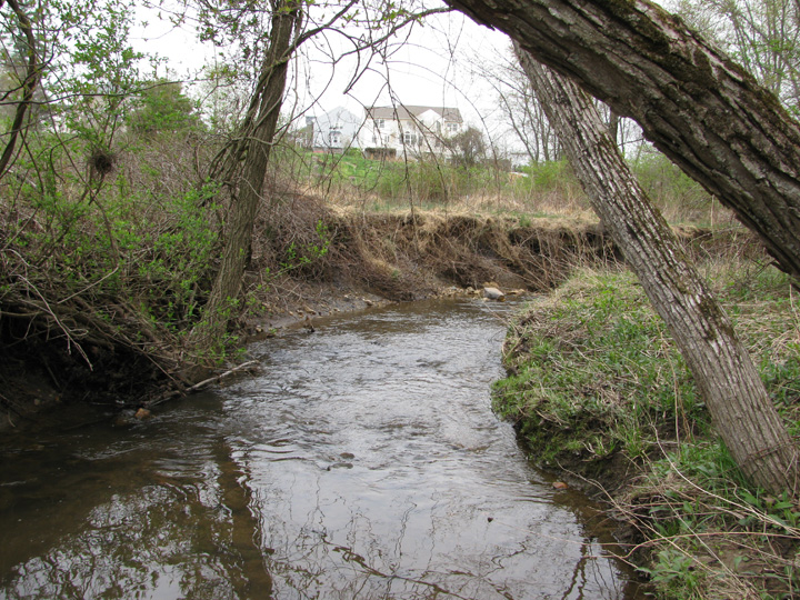 Field photo showing stream conditions at site LIBE-194-X-2011-2