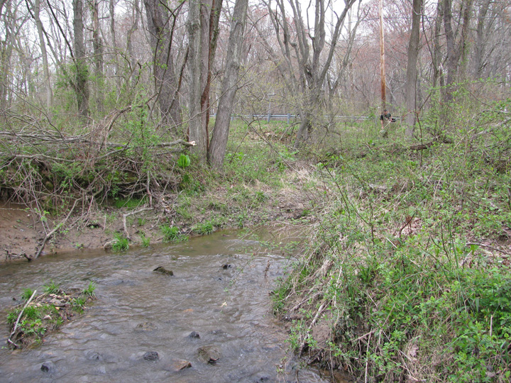 Field photo showing stream conditions at site LIBE-195-X-2011-1