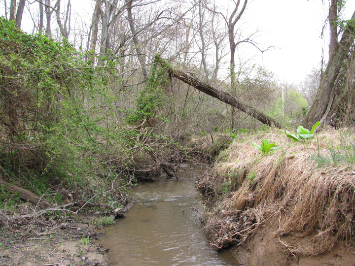 Field photo showing stream conditions at site LIBE-195-X-2011-2