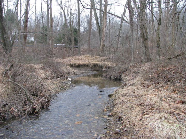 Field photo showing stream conditions at site LIBE-201-X-2011-1