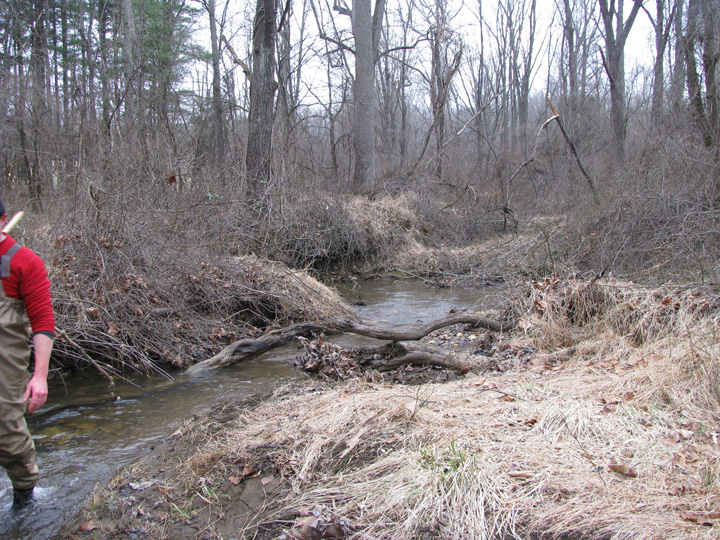 Field photo showing stream conditions at site LIBE-201-X-2011-2