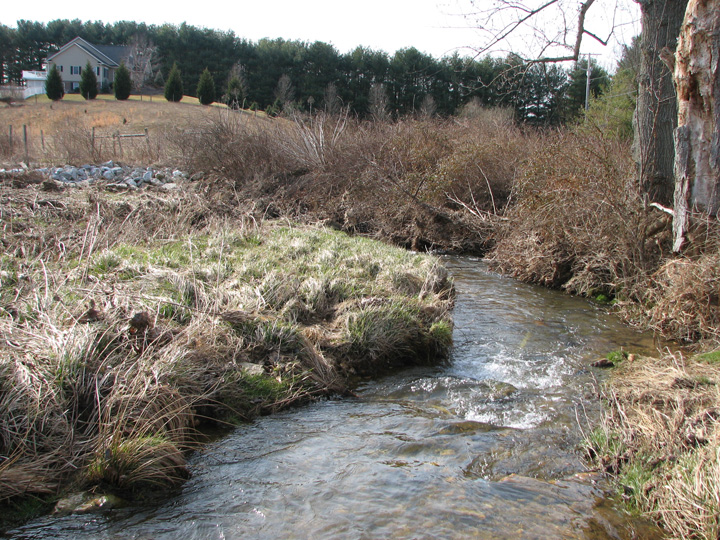 Field photo showing stream conditions at site LIBE-202-A-2007-1