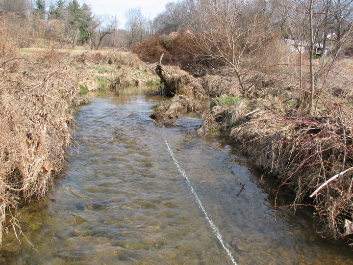 Field photo showing stream conditions at site LIBE-202-A-2007-2
