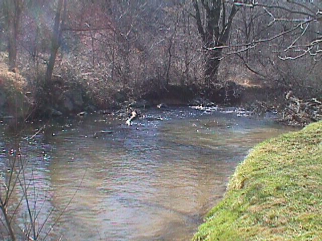 Field photo showing stream conditions at site LIBE-202-R-2000-03_07