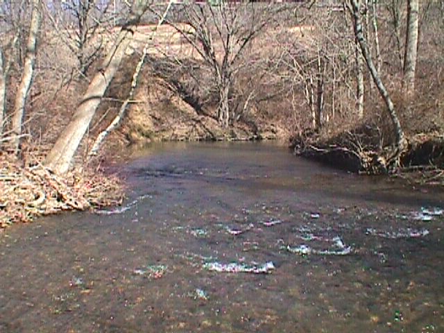 Field photo showing stream conditions at site LIBE-202-R-2000-03_08