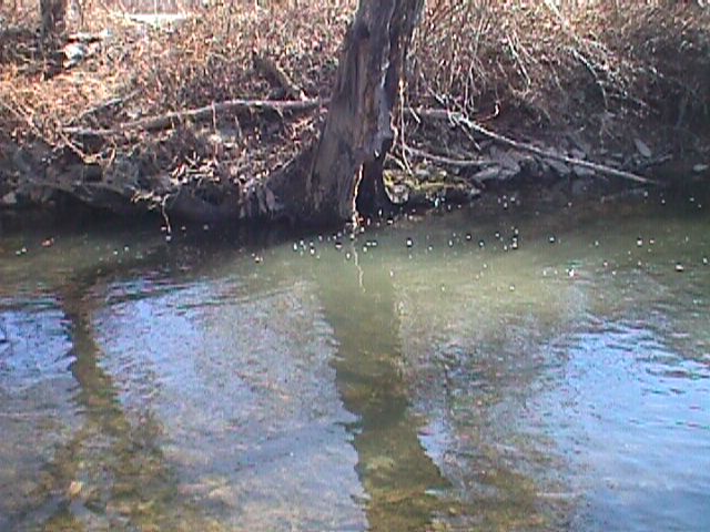 Field photo showing stream conditions at site LIBE-202-R-2000-03_09