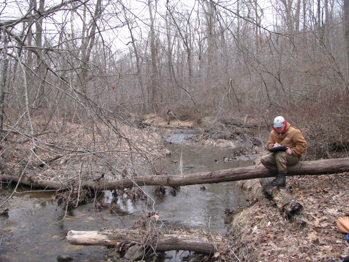 Field photo showing stream conditions at site LIBE-202-X-2011-1