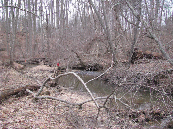 Field photo showing stream conditions at site LIBE-202-X-2011-2