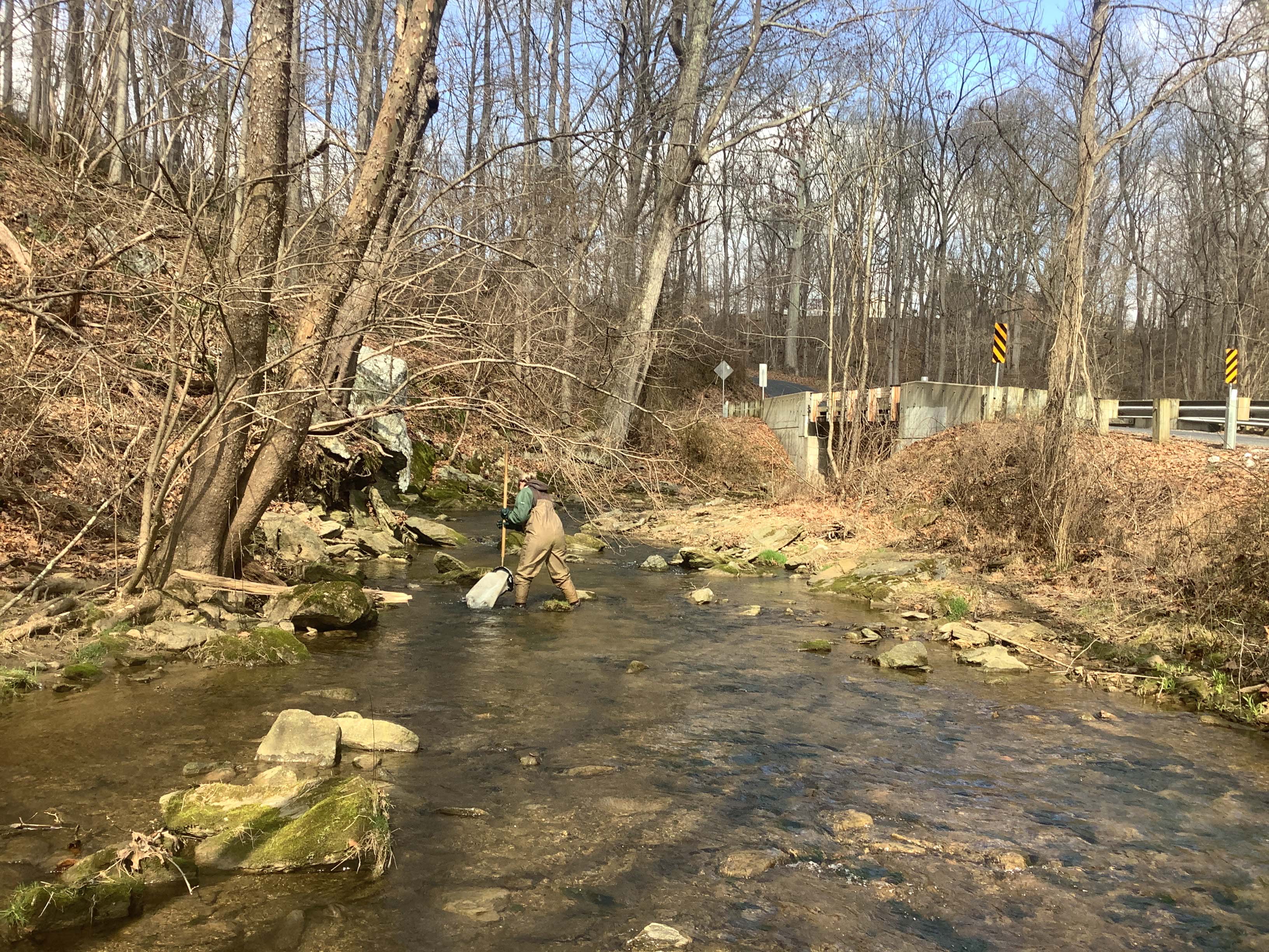 Field photo showing stream conditions at site LIBE-202-X-2023_Midpoint_facing_upstream