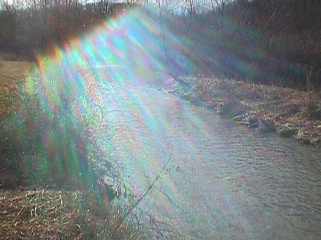 Field photo showing stream conditions at site LIBE-203-R-2000-01_15