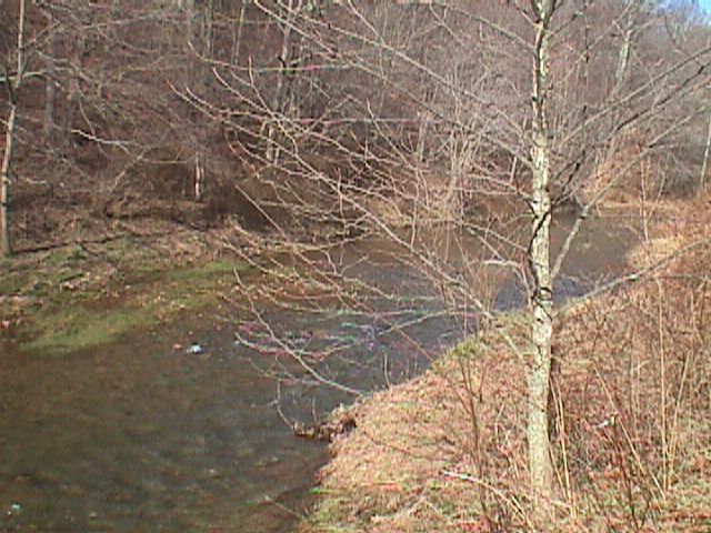 Field photo showing stream conditions at site LIBE-203-R-2000-01_16