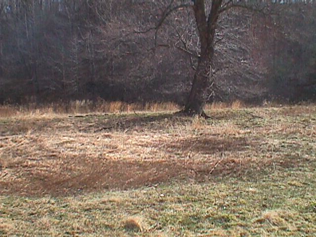 Field photo showing stream conditions at site LIBE-203-R-2000-01_17