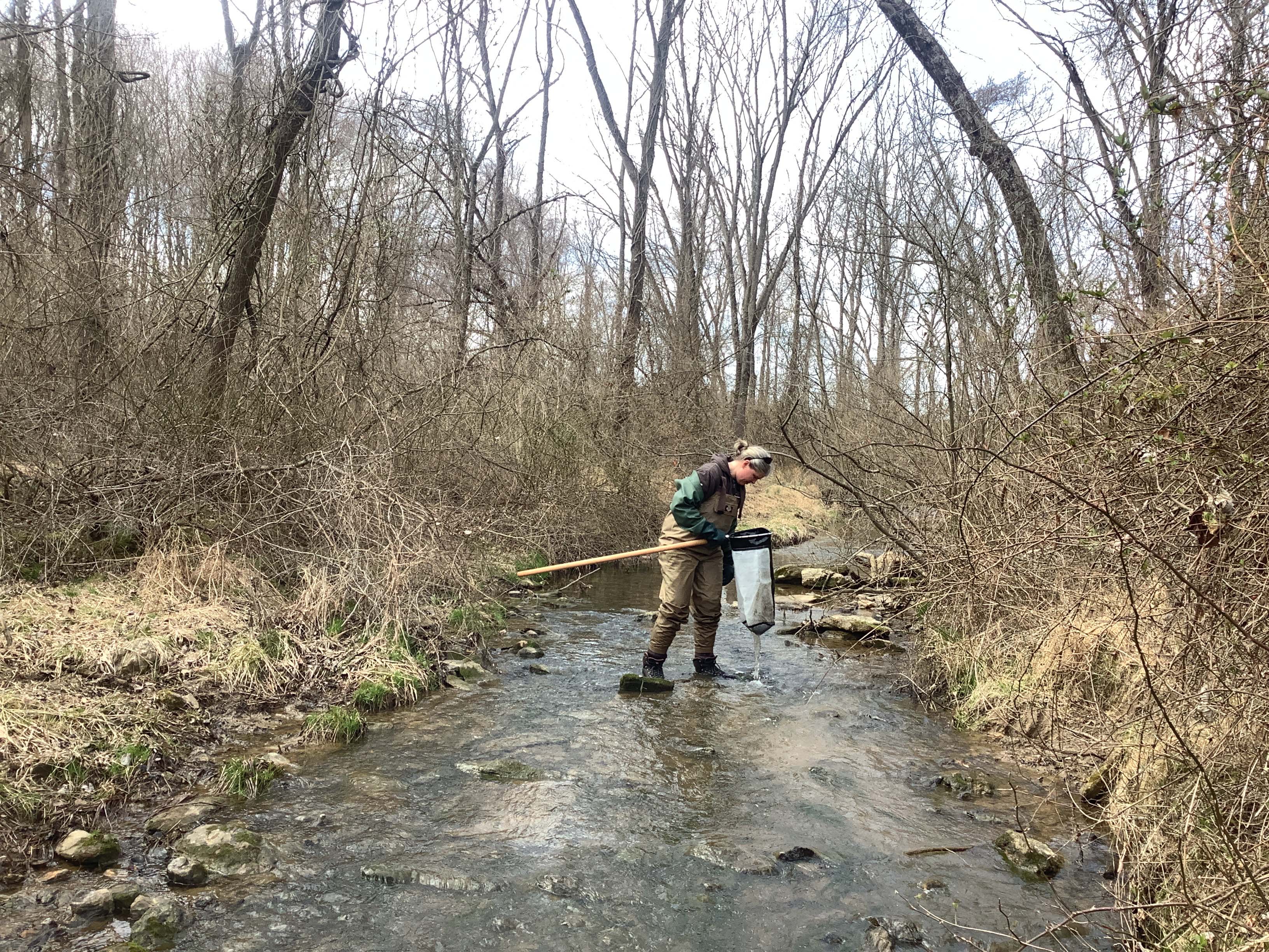 Field photo showing stream conditions at site LIBE-203-X-2023_Midpoint_facing_upstream