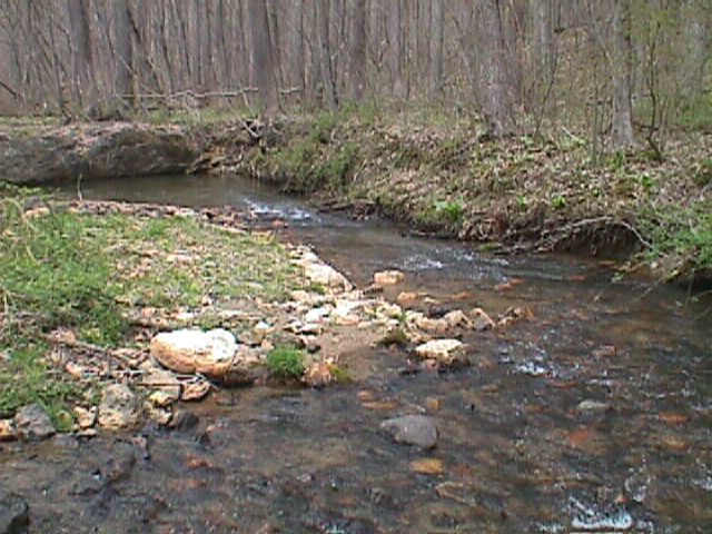 Field photo showing stream conditions at site LIBE-204-C-2000-15_01