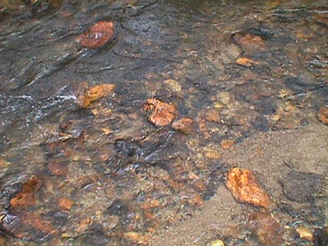 Field photo showing stream conditions at site LIBE-204-C-2000-15_02