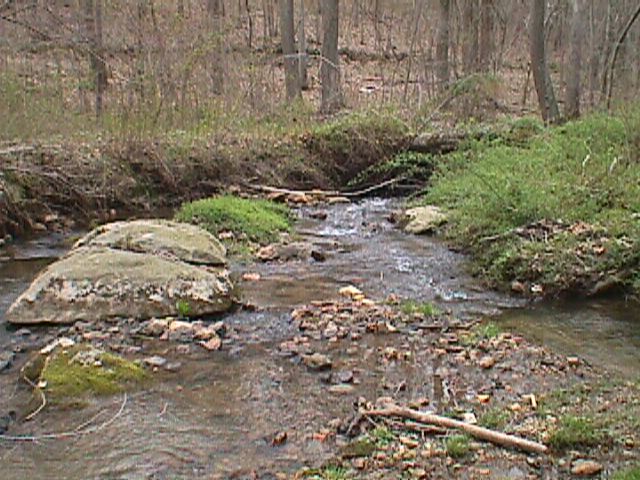Field photo showing stream conditions at site LIBE-204-C-2000-15_03