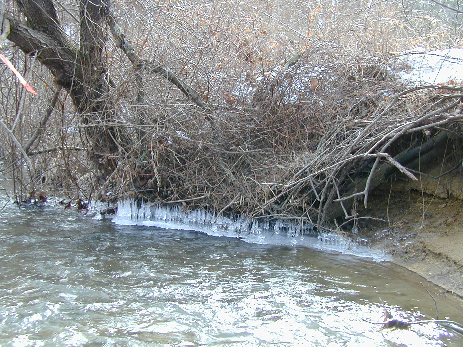 Field photo showing stream conditions at site LIBE-204-R-2003-625
