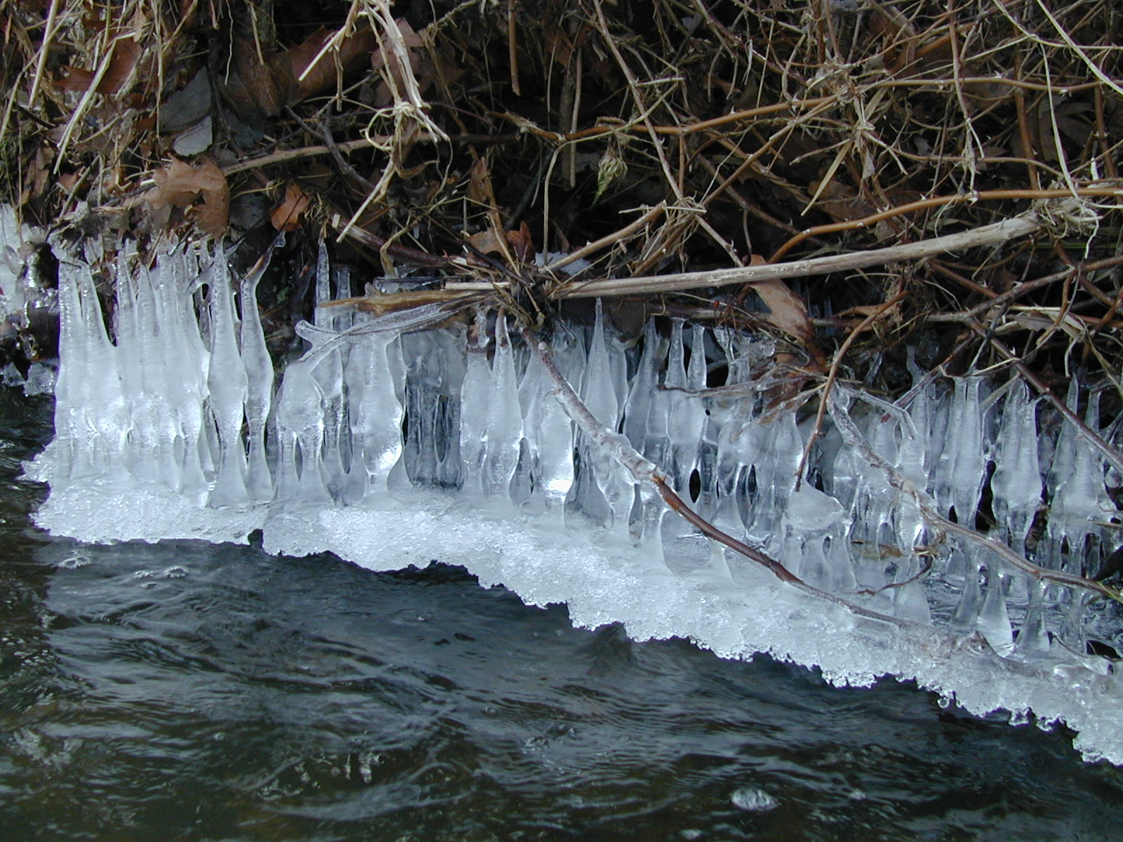 Field photo showing stream conditions at site LIBE-204-R-2003-626